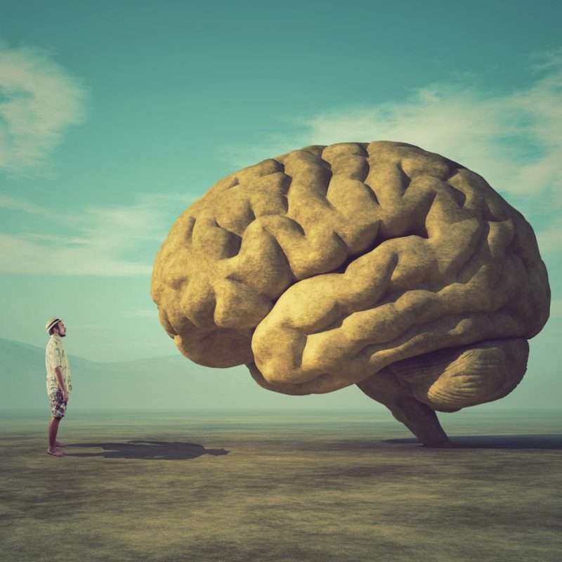 mental health, graduate school, community, PhD Balance, Susanna L Harris